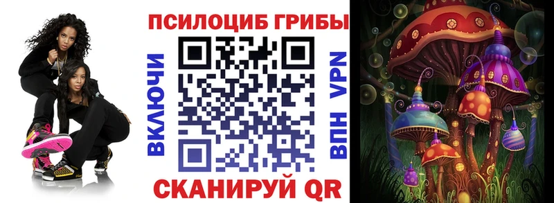 где купить   Шумерля  Псилоцибиновые грибы прущие грибы 