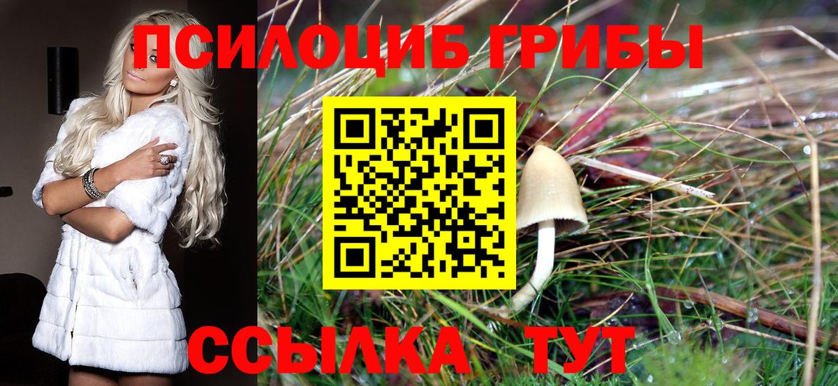 Псилоцибиновые грибы мицелий  Вход с VPN  Шумерля 