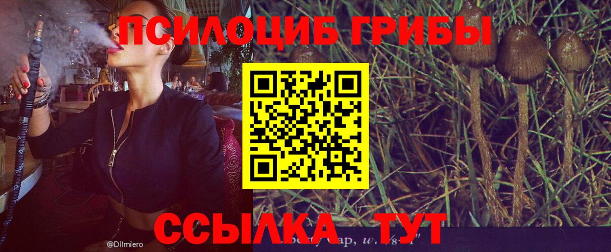 Галлюциногенные грибы ЛСД Шумерля